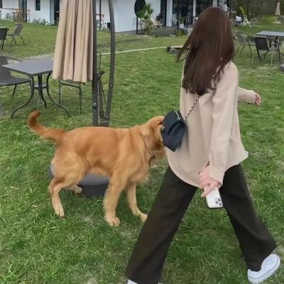 西部世界第四季